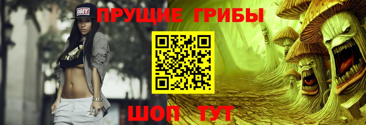 Скопин  Псилоцибиновые грибы Psilocybine cubensis  Галлюциногенные грибы Psilocybe  Вход с VPN 
