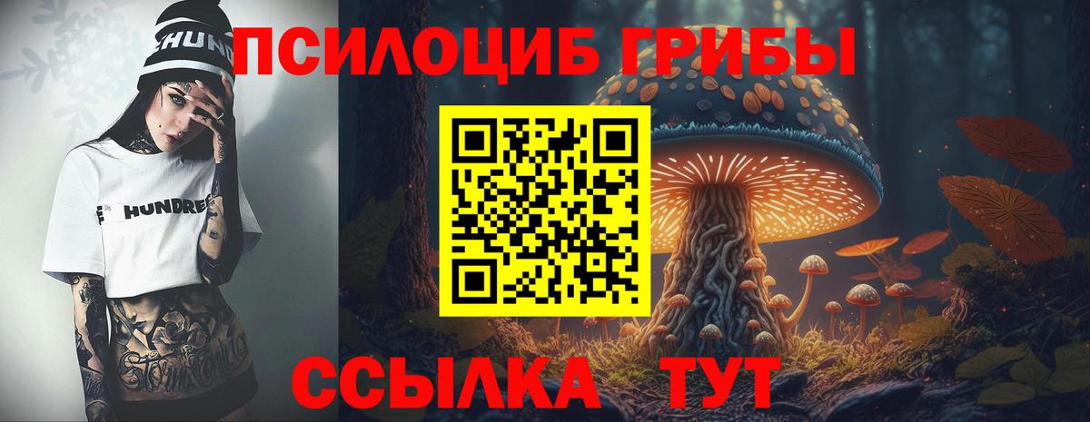 Галлюциногенные грибы Psilocybe Скопин